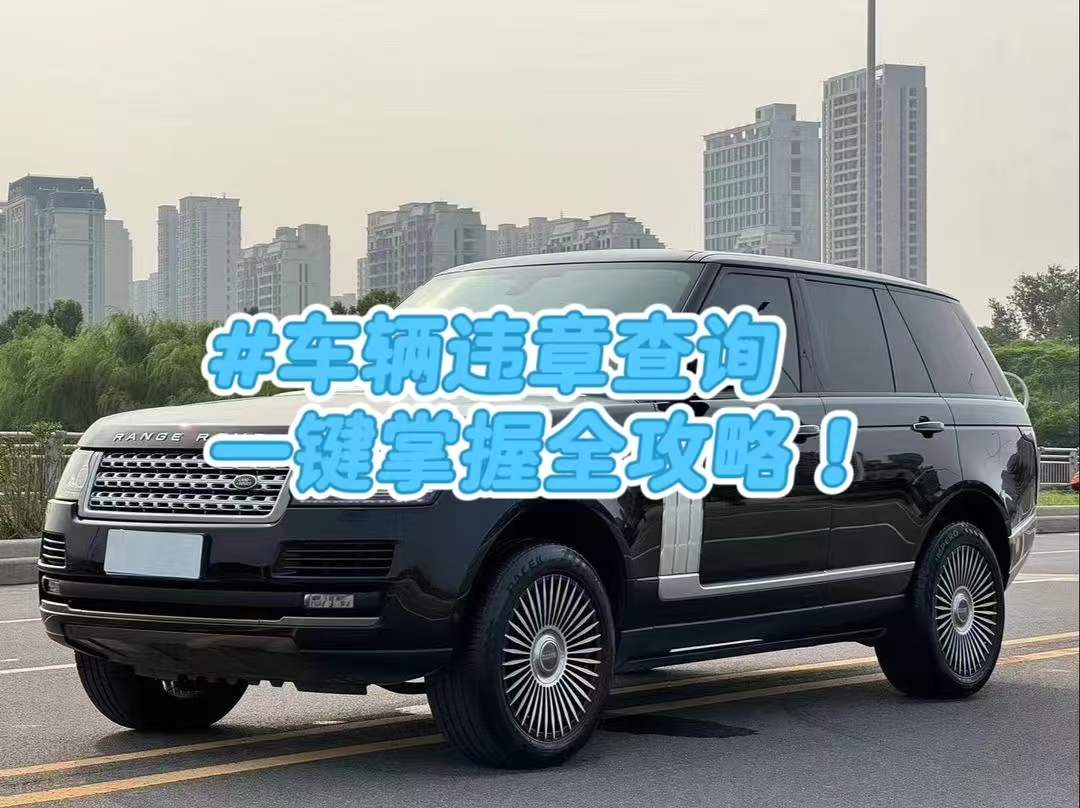 出险记录秒查秒出-车业宝